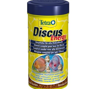Tetra Discus Energy