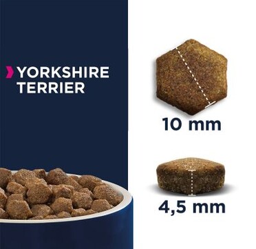 Eukanuba Adult Breed Specific Yorkshire Terrier