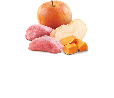 Консервирана храна за кучета Farmina N&D Pumpkin с глиган, тиква и ябълка - 285г