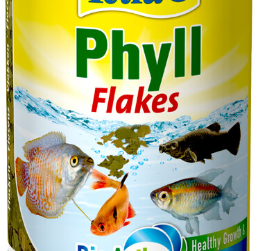 Tetra Phyli Flakes