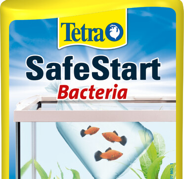 Tetra SafeStar