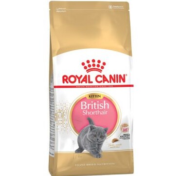 Royal Canin British Shorthair Kitten