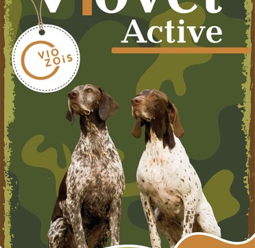 Vio Vet Active 10 кг