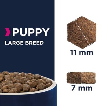 Eukanuba Puppy Large Breed с пиле
